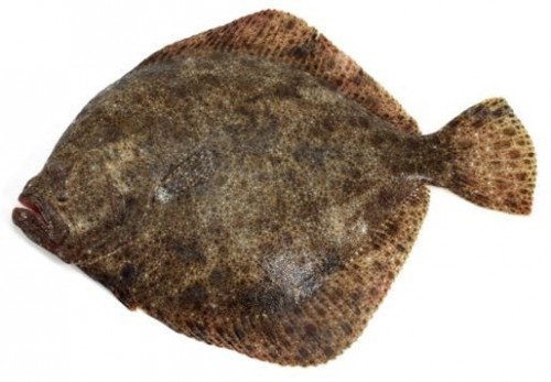 Romb cel očiščen 500-1000g