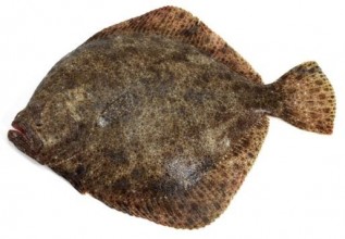 Romb cel očiščen 500-1000g