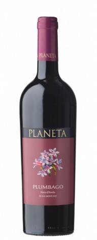VINO RDEČE PLANETA PLUMBAGO