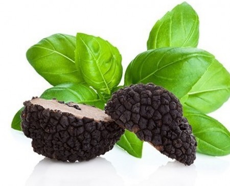 Tartufi in tartufate