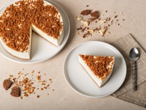 Torta cheesecake speculoos 1300g