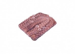 Hobotnica 3000/4000g