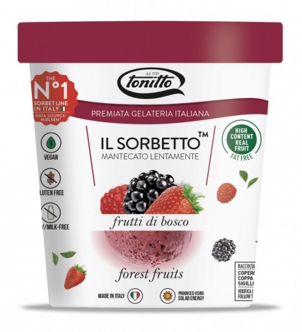 SORBET GOZDNI SADEŽI 500ml Tonitto