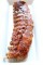 1112 babyribspremium