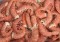 225 cola de langostino c1